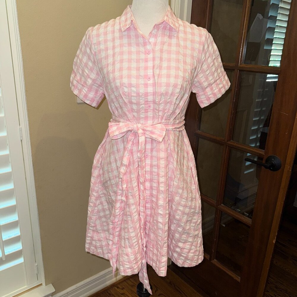 Marie Fernandez Seersucker Gingham Pink Shirt Dress